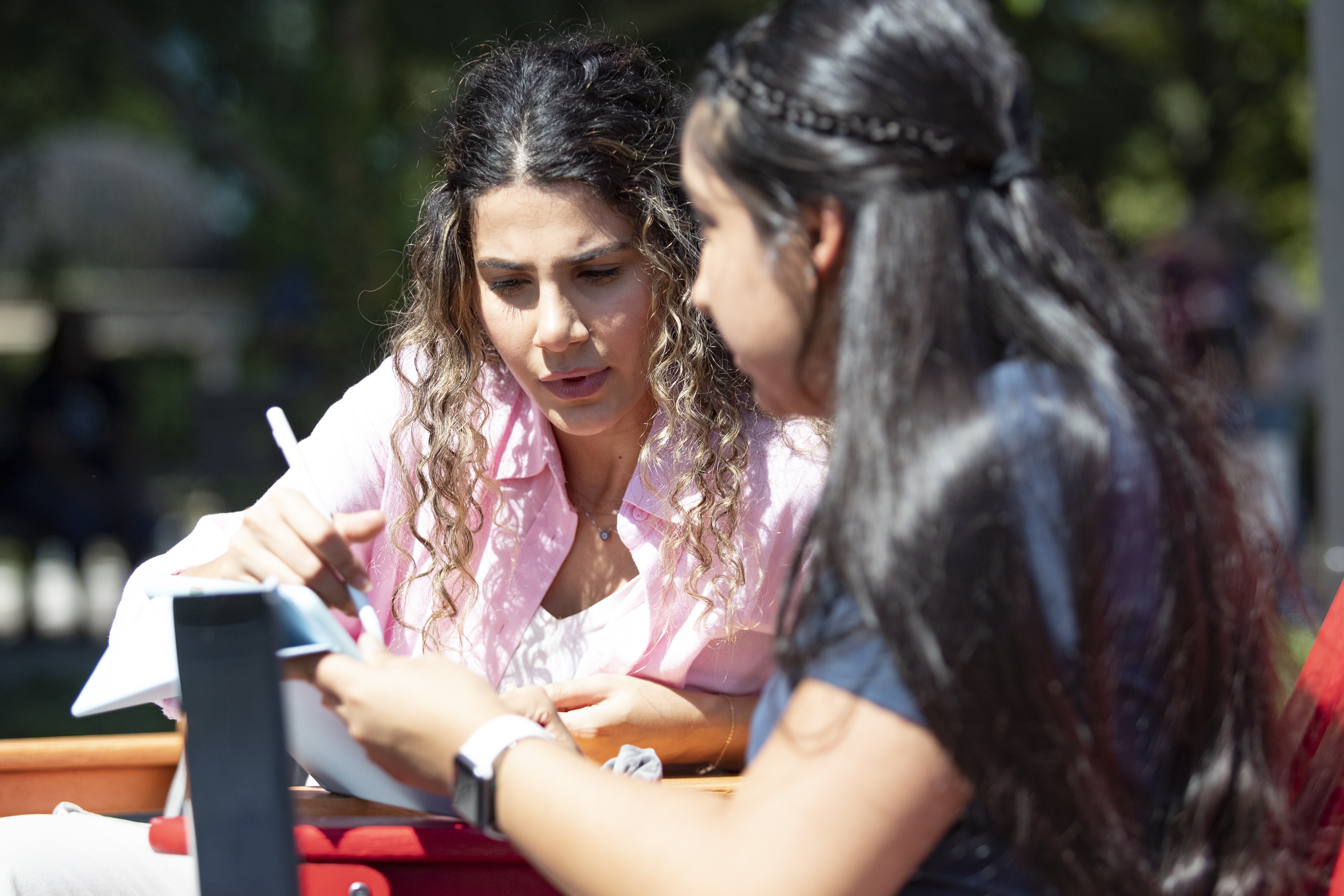 Students studying on campus