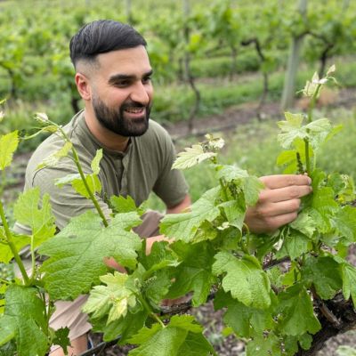 Dr. Sidhu inspecting vines thumbpic1