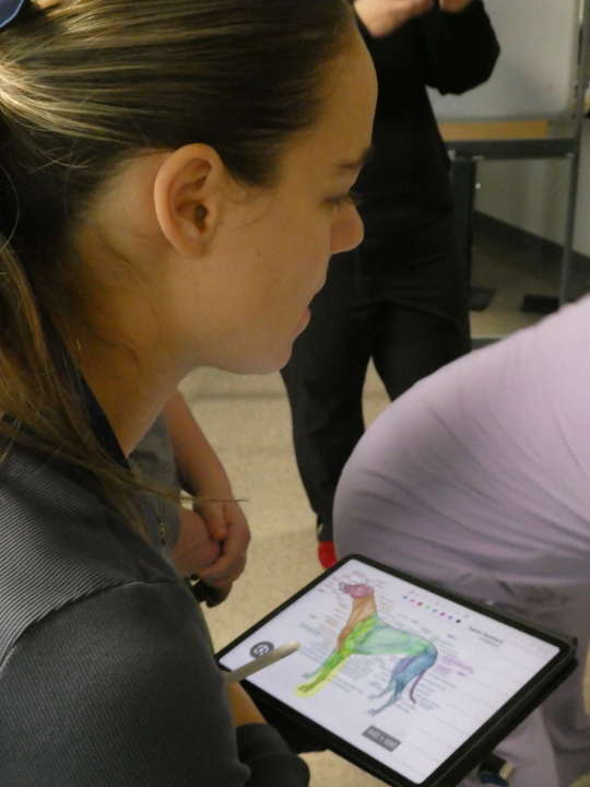 Computer drawing of Oliver pic4