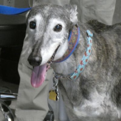 Oliver O&P smiling thumbpic1