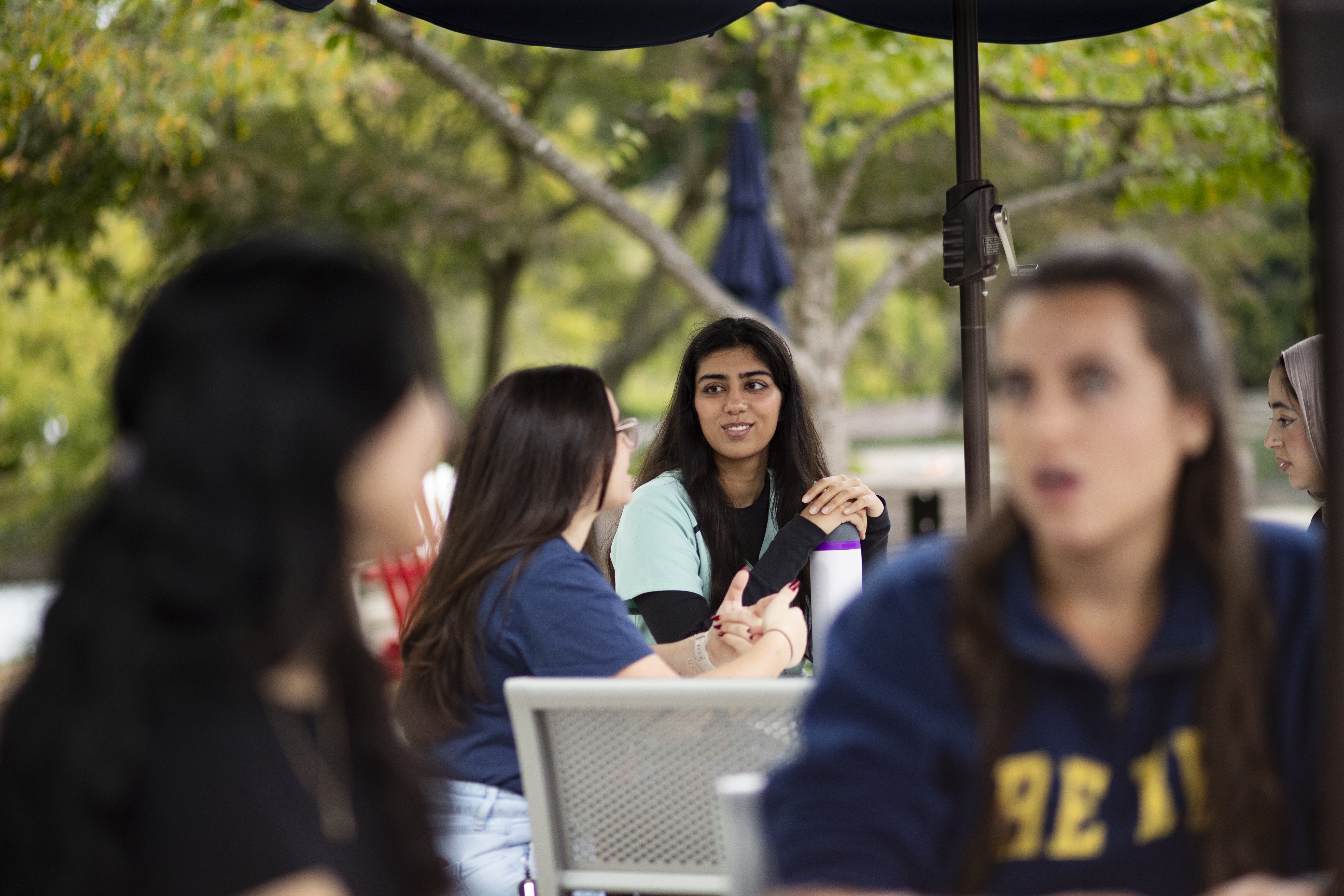 Students studying on campus pic1