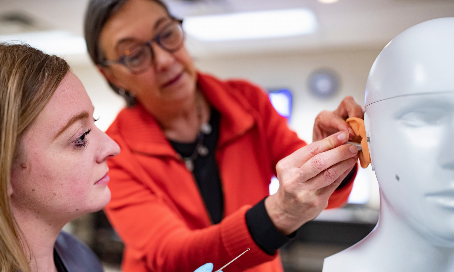 faculty teaching student