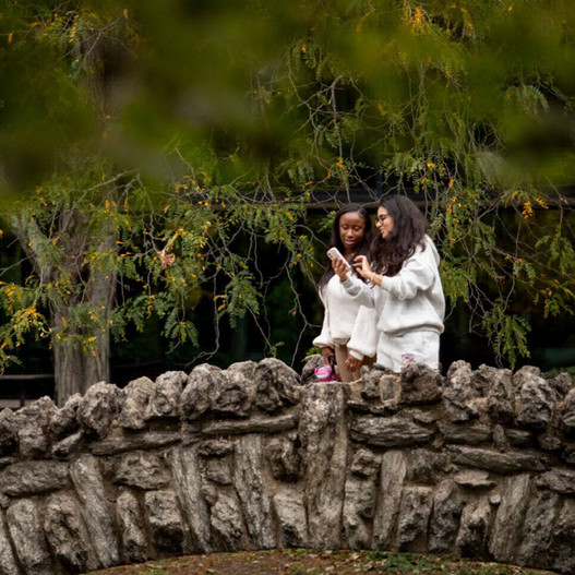 students walking on bridge