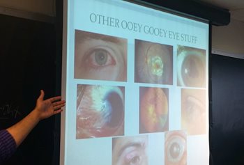 poster of eye diseases