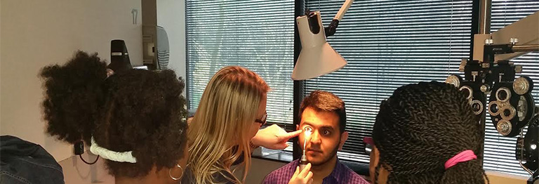 Reggio Emilia to Baltimore to Salus