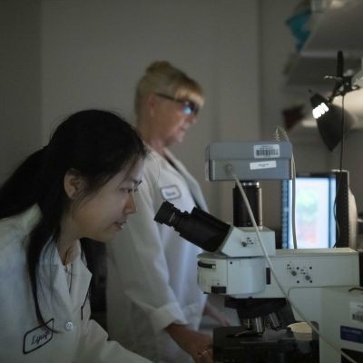 Biomed spotlight thumbpic2