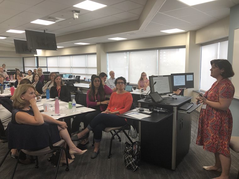 Dr. Blaha presenting at faculty development day