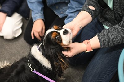 ICYMI Summer 22 Pic1