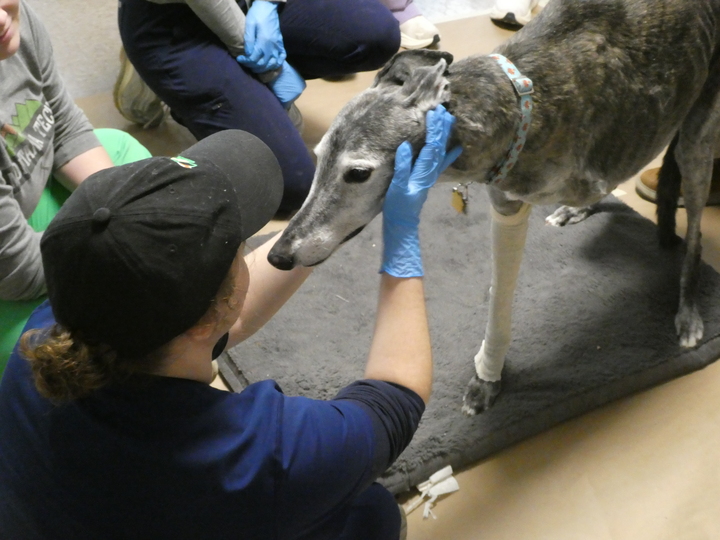 O&P student showing love to Oliver pic3