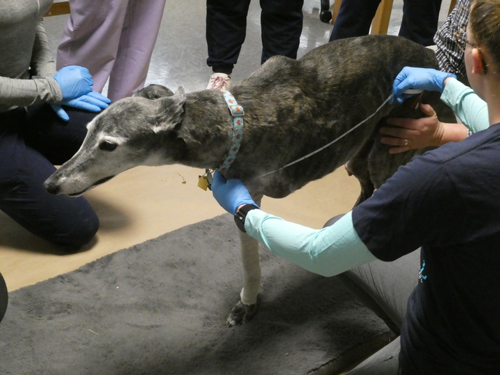 Oliver getting measured by O&P students pic1