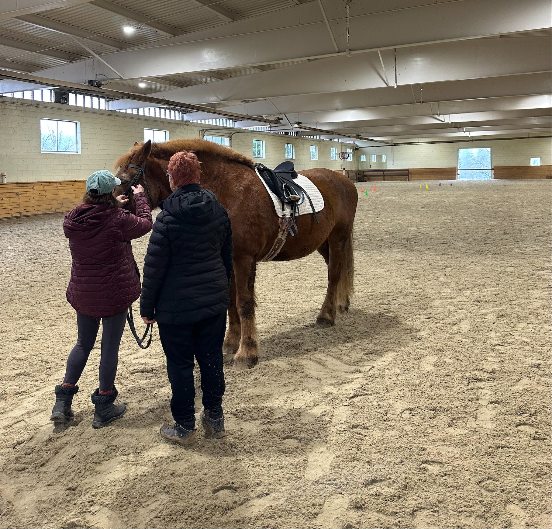 Students with horse at Thorncraft Center