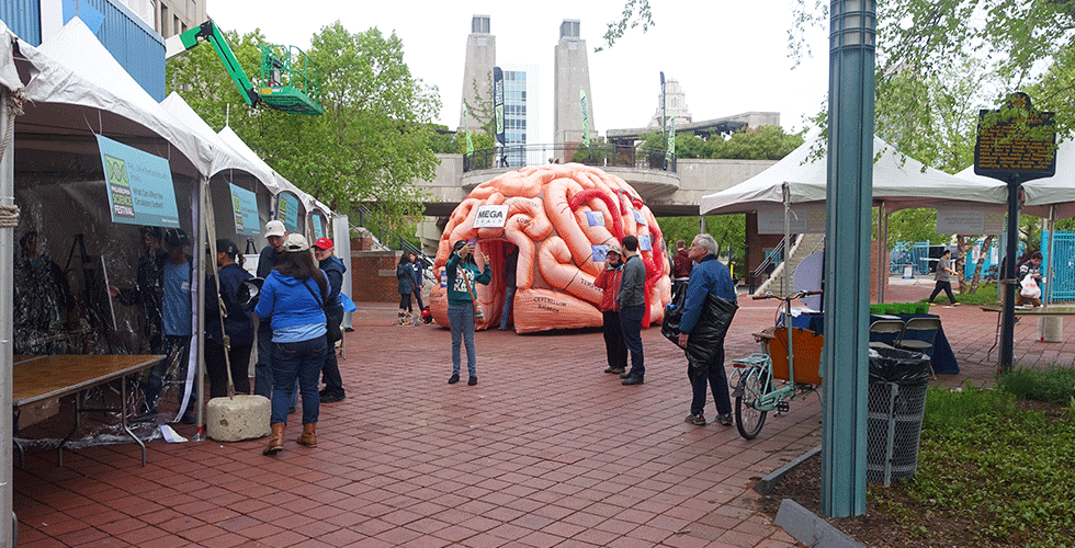 giant brain at the science festival