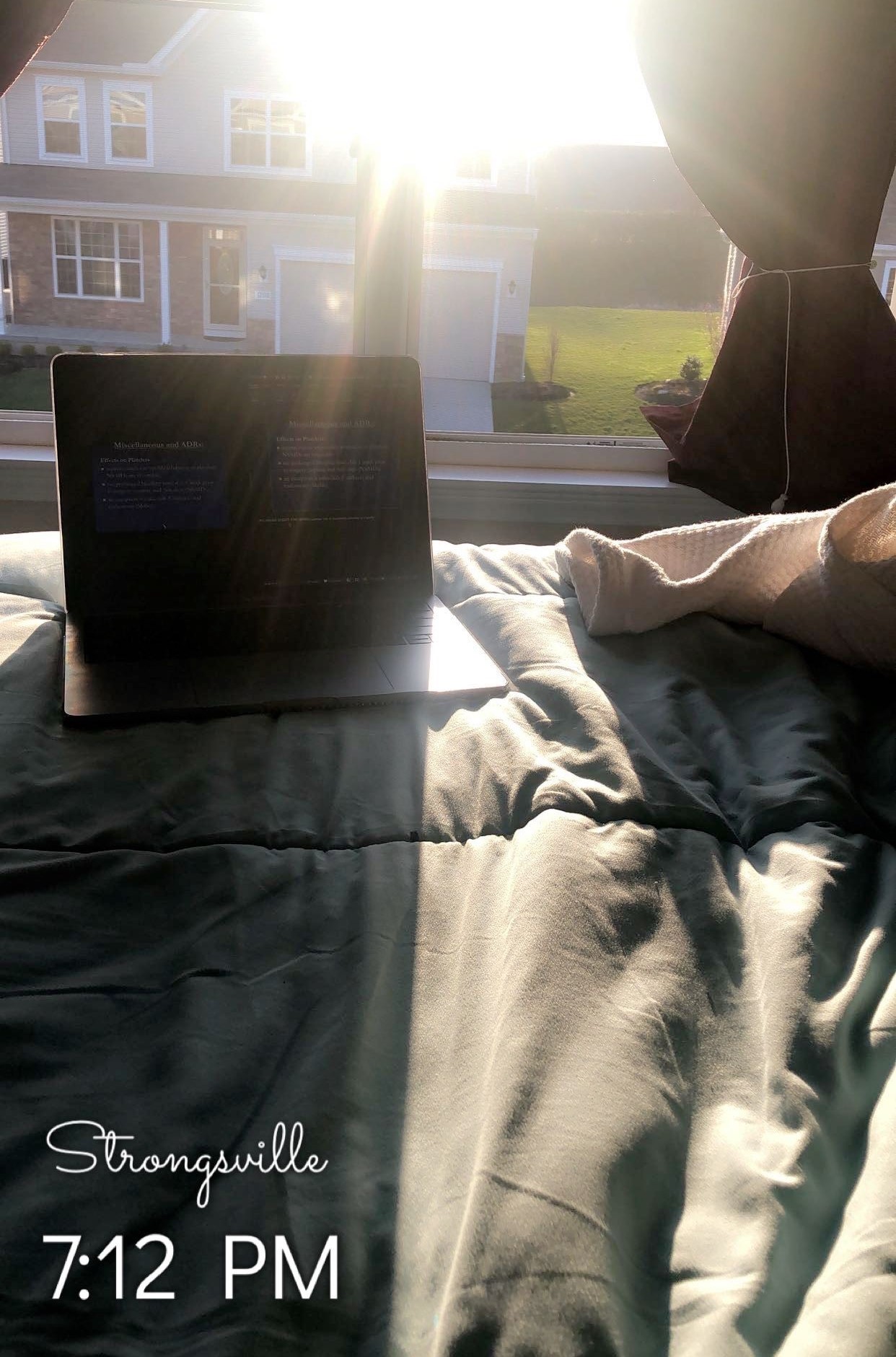 Ashka's computer on her bed outlooking her window