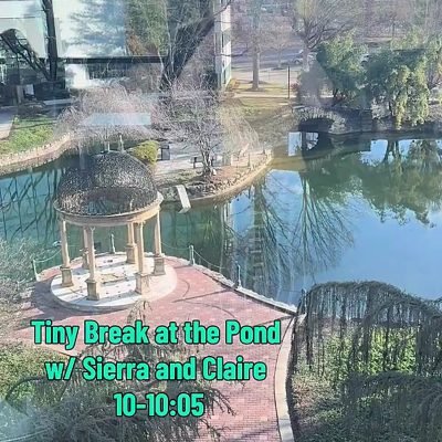 picture of gazebo and pond