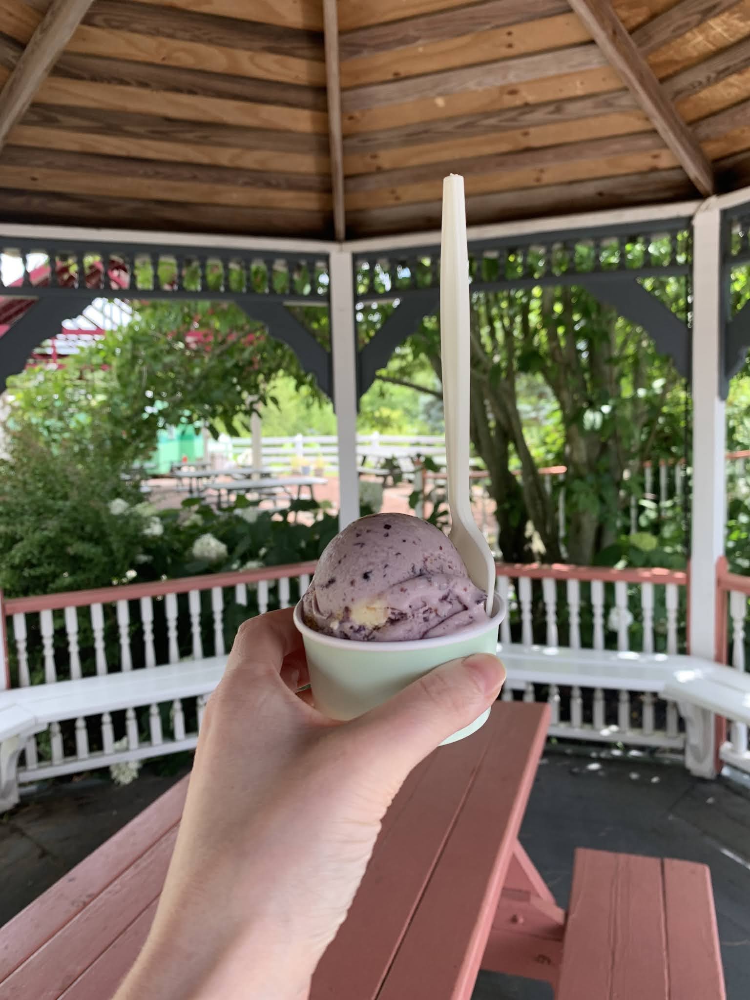 hand holding a cup of purple ice cream