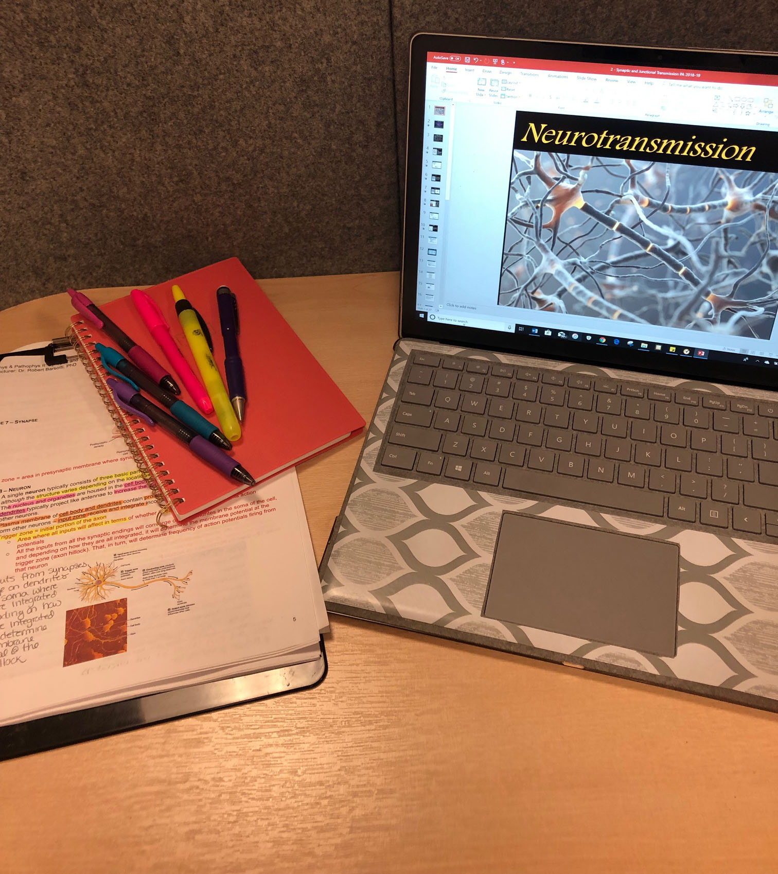 Samonne's computer and notes on a desk