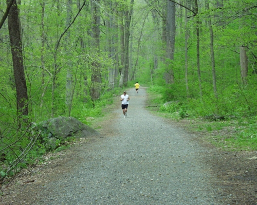 people running on a trail