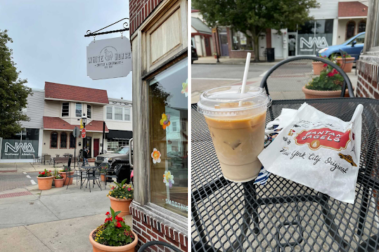 White horse picture collage